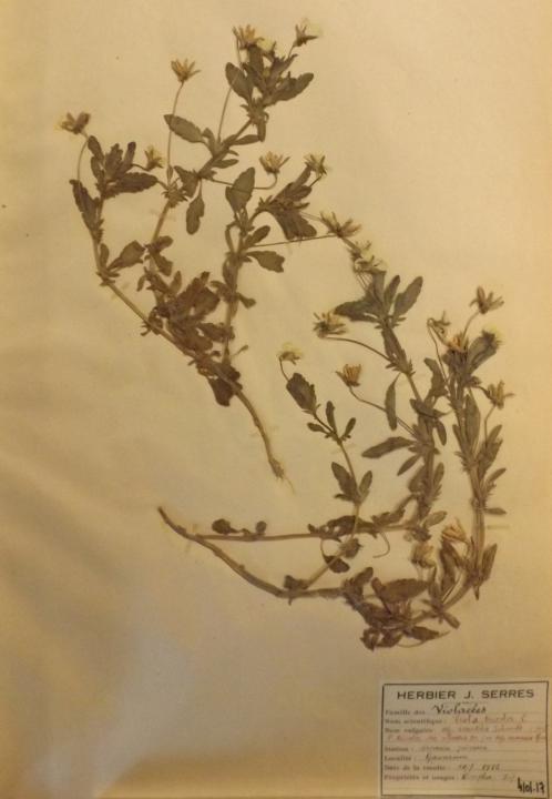 Image instrument